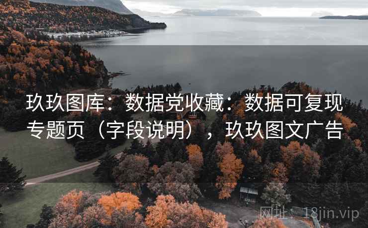 玖玖图库：数据党收藏：数据可复现专题页（字段说明），玖玖图文广告  第2张